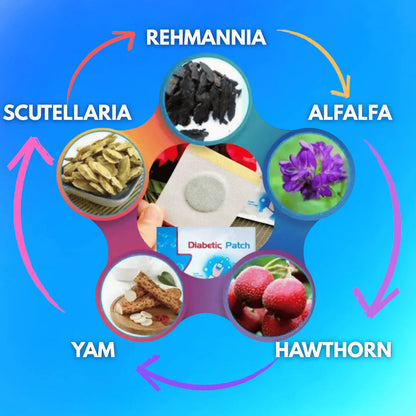 Sumifun Diabetic Patches (PACK OF 2)