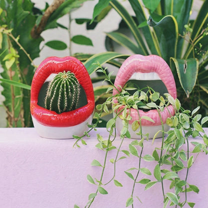 Abstract Lips Shaped Flower Pot & Vase  Quirky Modern Room Decor
