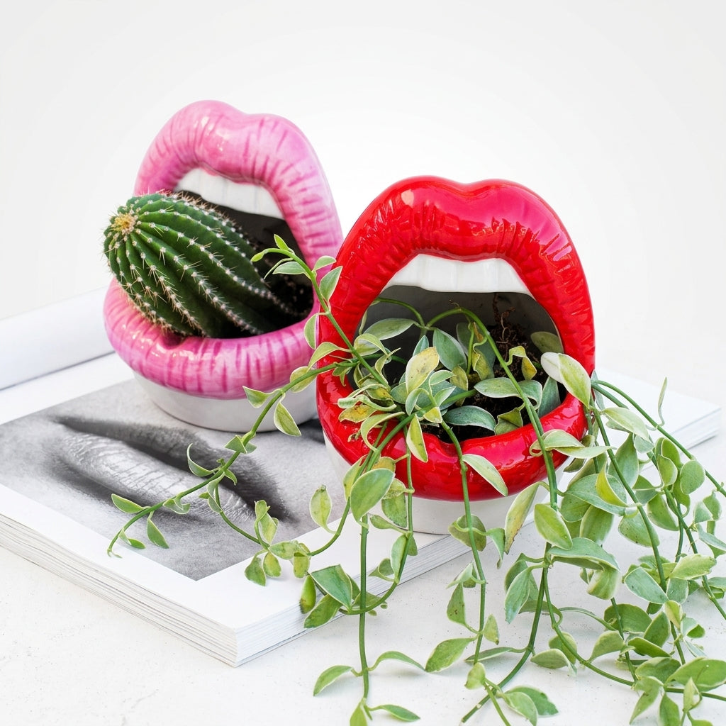 Abstract Lips Shaped Flower Pot & Vase  Quirky Modern Room Decor