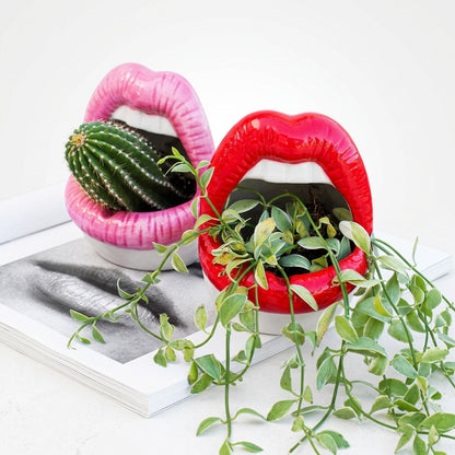 Abstract Lips Shaped Flower Pot & Vase  Quirky Modern Room Decor