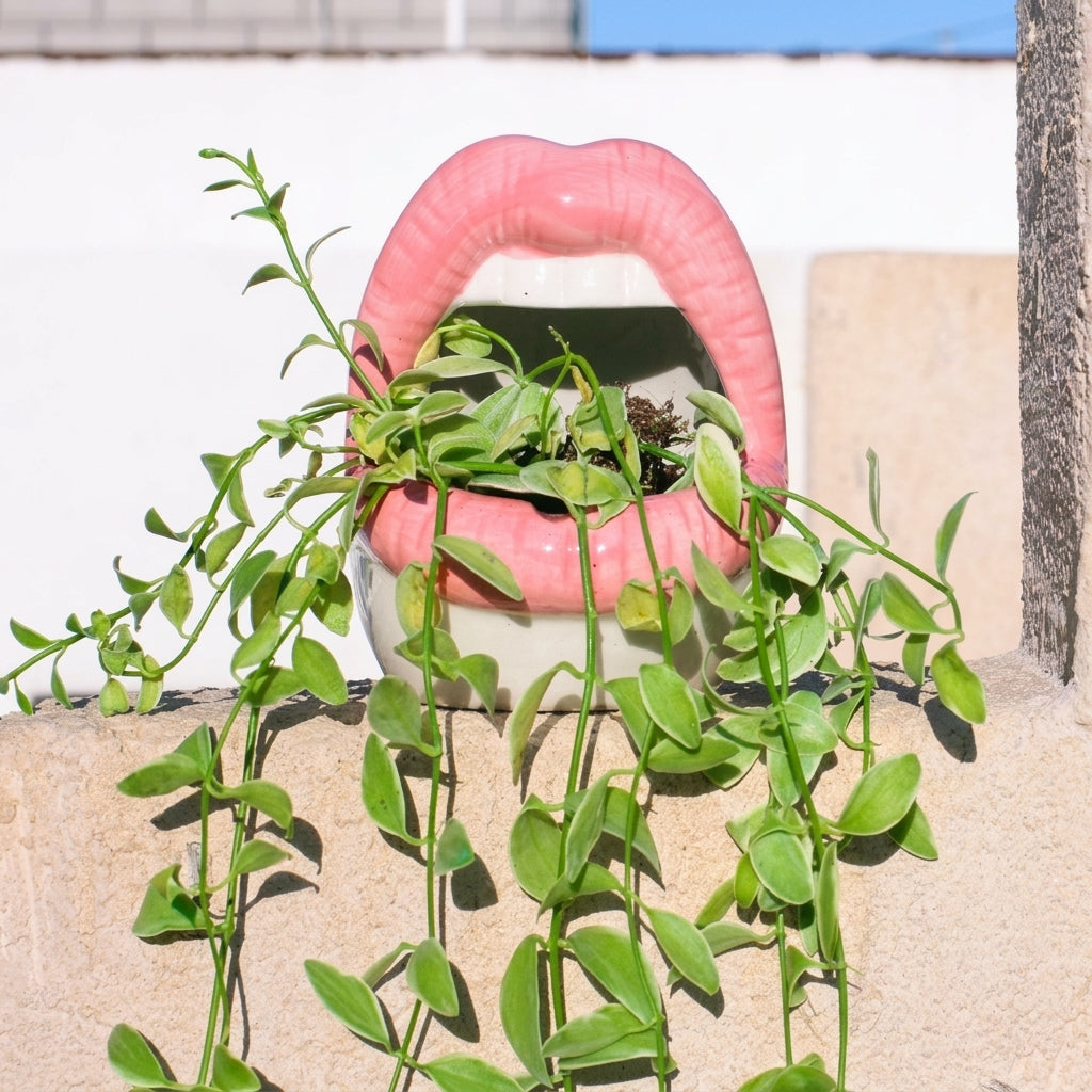 Abstract Lips Shaped Flower Pot & Vase  Quirky Modern Room Decor