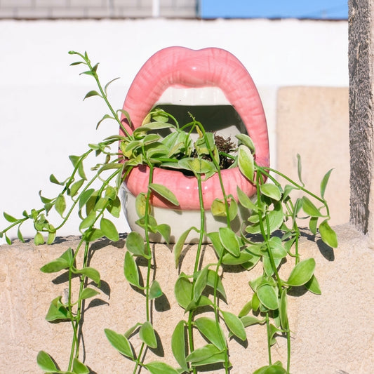 Abstract Lips Shaped Flower Pot & Vase  Quirky Modern Room Decor