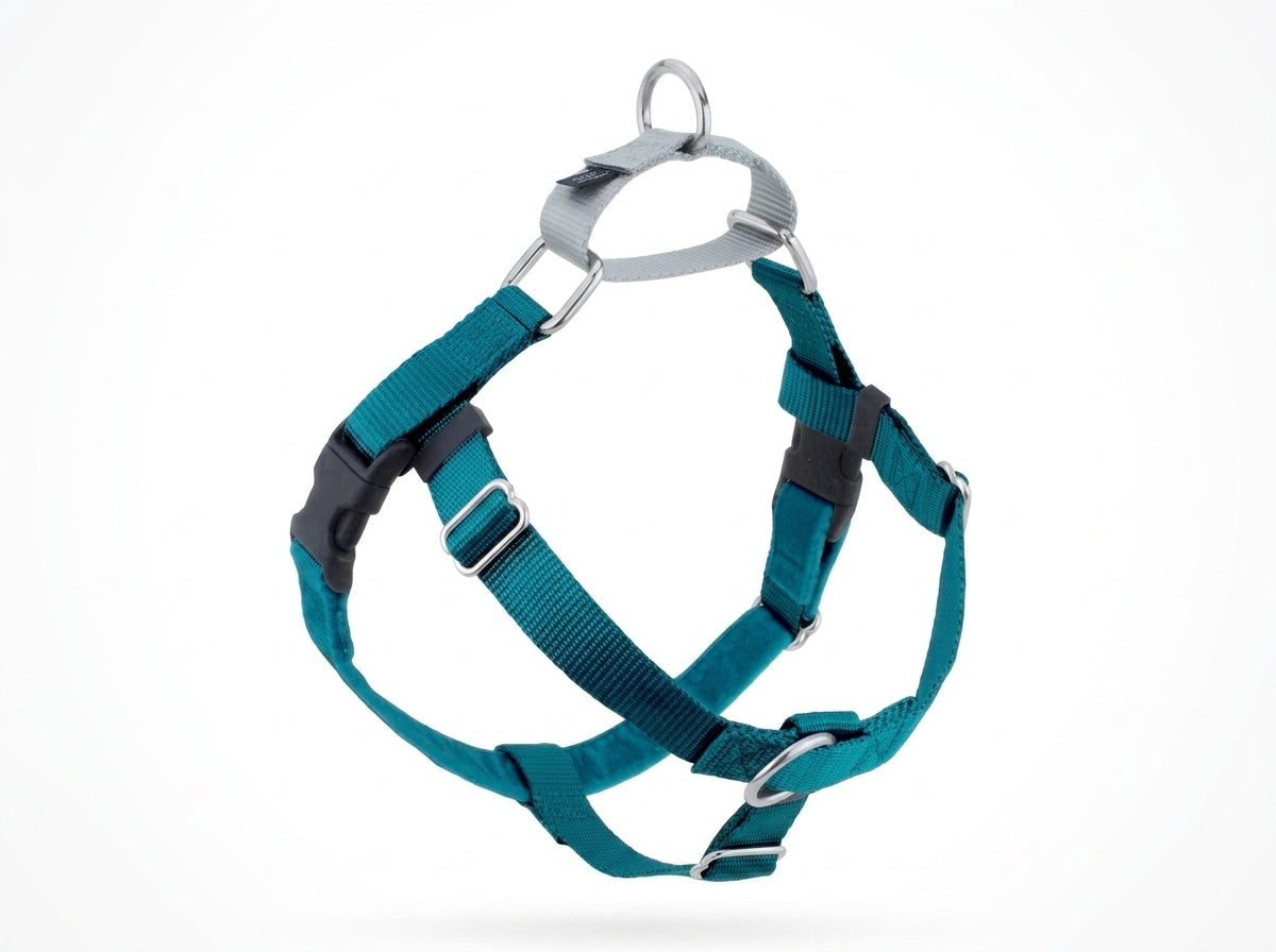 Heavy-Duty Large Dog Harness & Leash | Anti-Escape Nylon Chest Strap