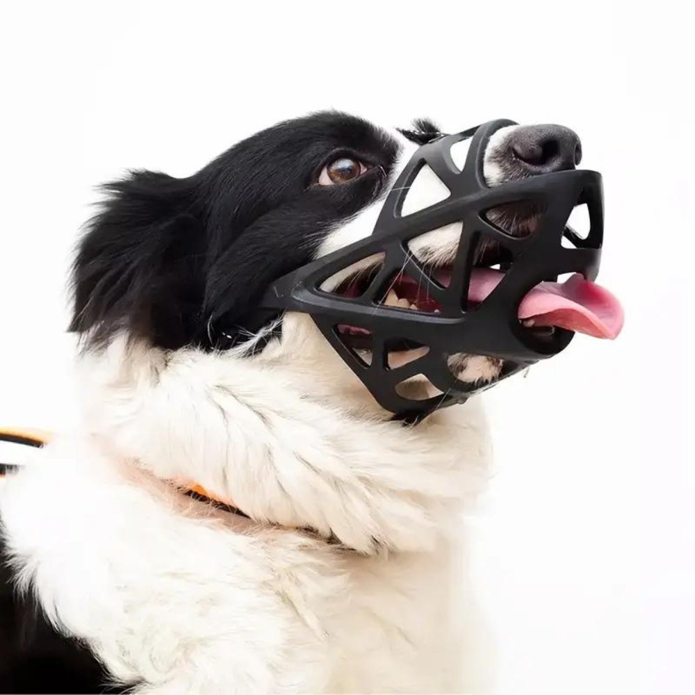 SafeBark • Dog Muzzle 1