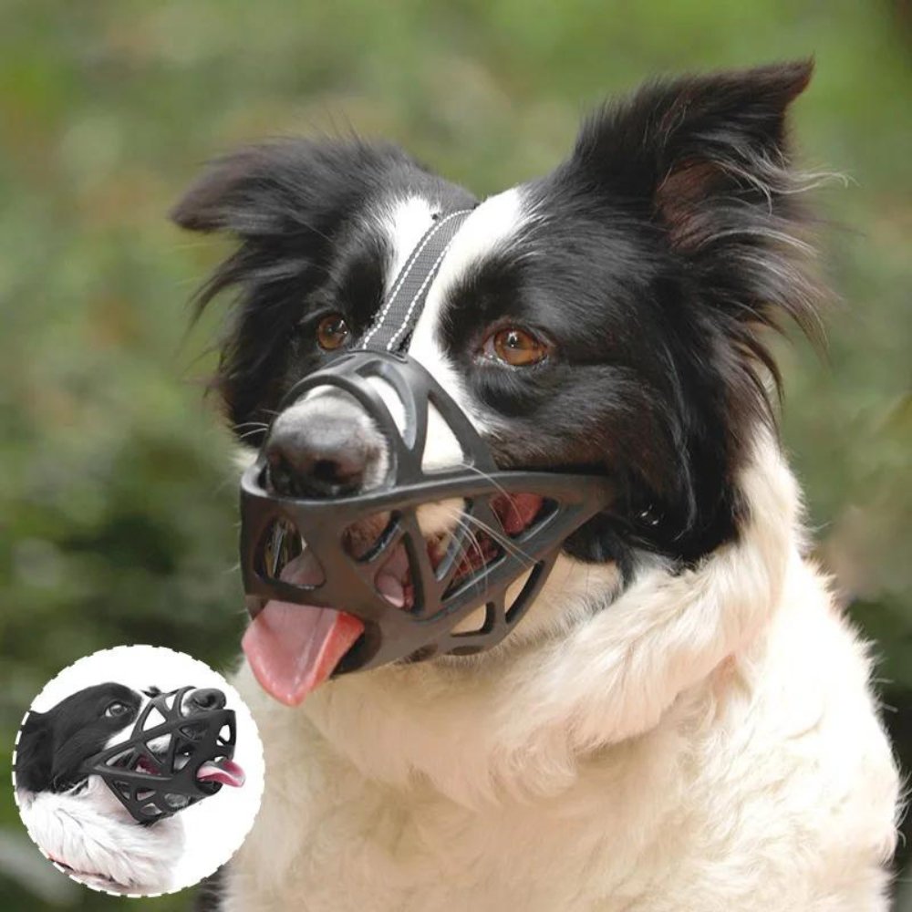 SafeBark • Dog Muzzle 2