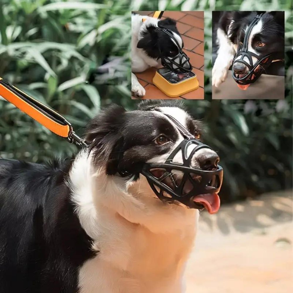 SafeBark • Dog Muzzle 4