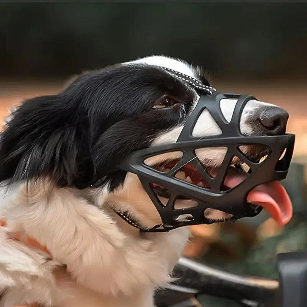 SafeBark • Dog Muzzle 5