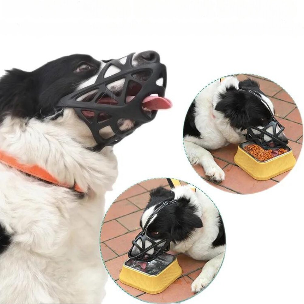 SafeBark • Dog Muzzle 6