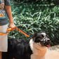 SafeBark • Dog Muzzle 7