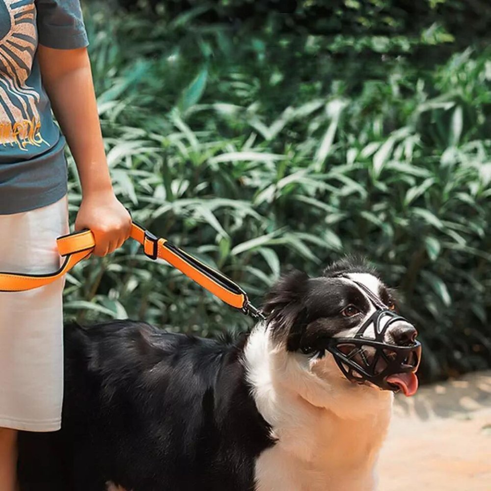 SafeBark • Dog Muzzle 7