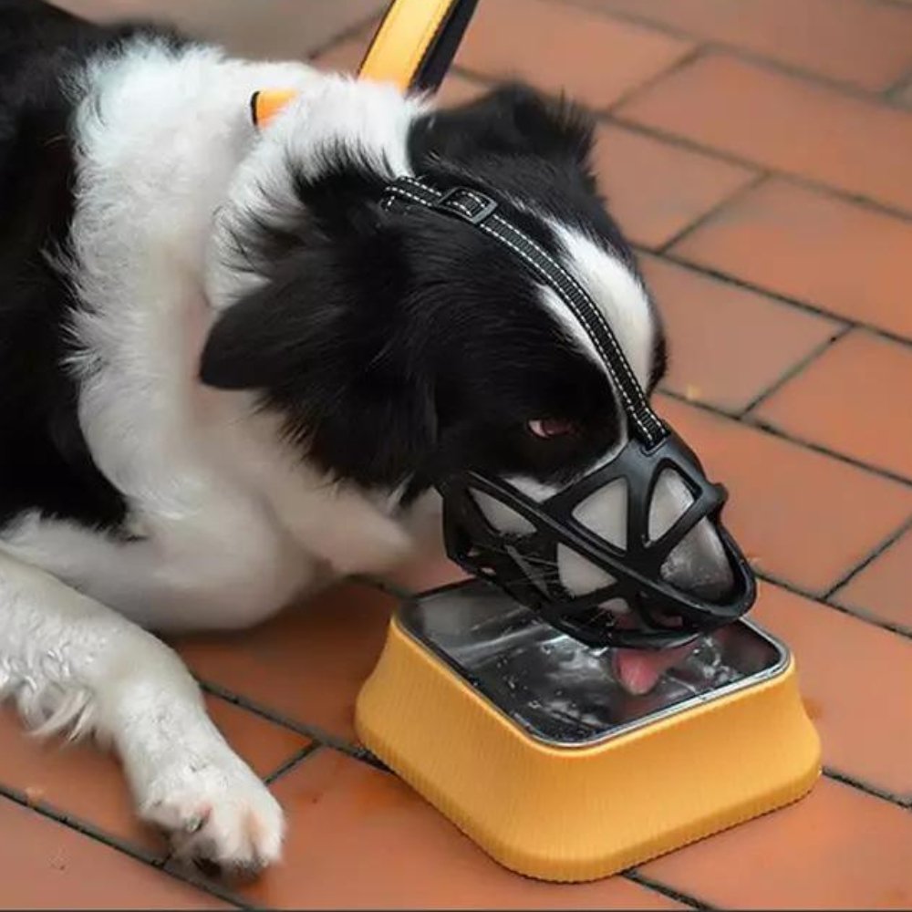 SafeBark • Dog Muzzle 8