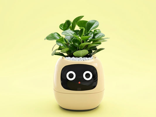 Tuya Smart Pet Planter Robot  Interactive Plant Companion & Display