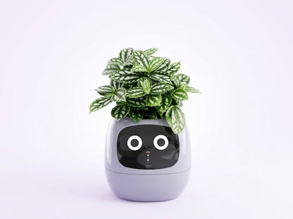 Tuya Smart Pet Planter Robot  Interactive Plant Companion & Display
