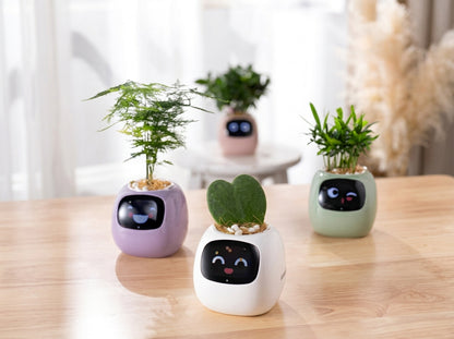 Tuya Smart Pet Planter Robot  Interactive Plant Companion & Display
