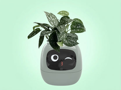 Tuya Smart Pet Planter Robot  Interactive Plant Companion & Display